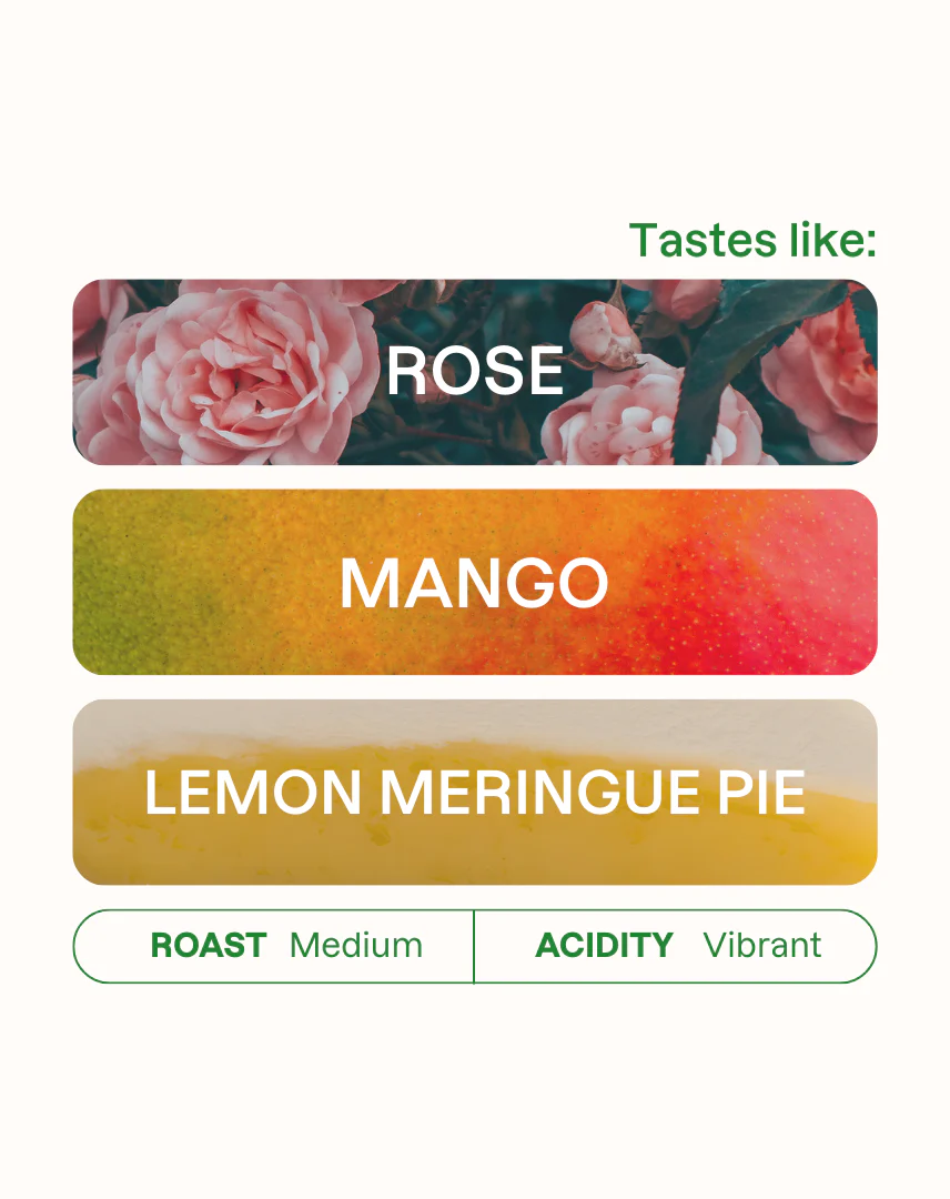 Easy Mode - Image 2
