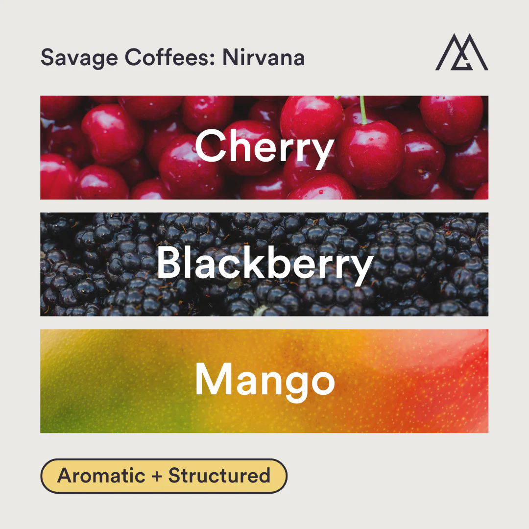Savage Coffees: Nirvana - Image 2
